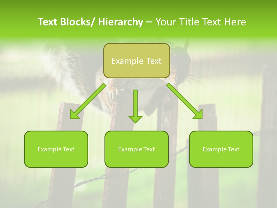 Concepts And Ideas Balance Squirrel PowerPoint Template