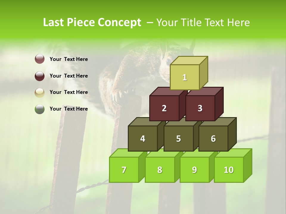 Concepts And Ideas Balance Squirrel PowerPoint Template