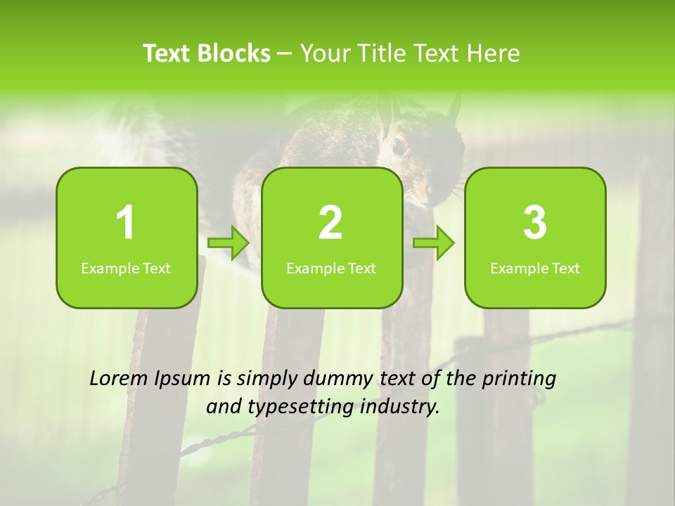 Concepts And Ideas Balance Squirrel PowerPoint Template