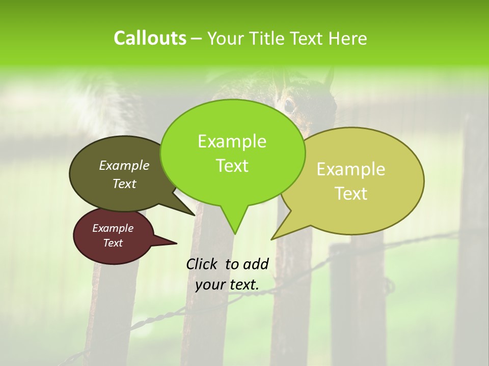 Concepts And Ideas Balance Squirrel PowerPoint Template