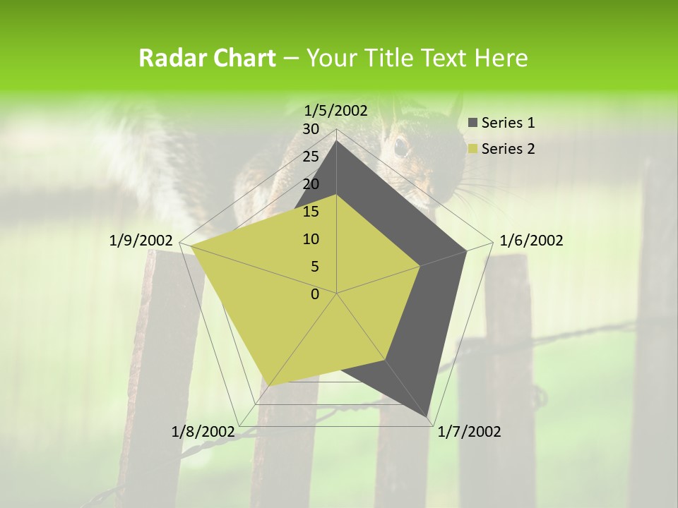 Concepts And Ideas Balance Squirrel PowerPoint Template