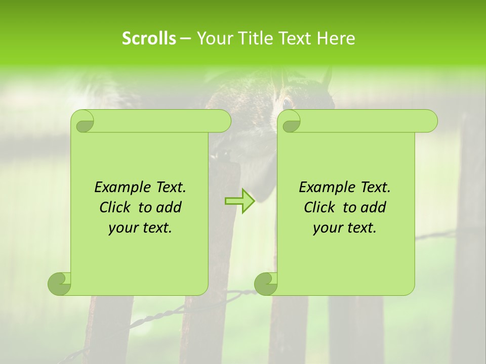 Concepts And Ideas Balance Squirrel PowerPoint Template