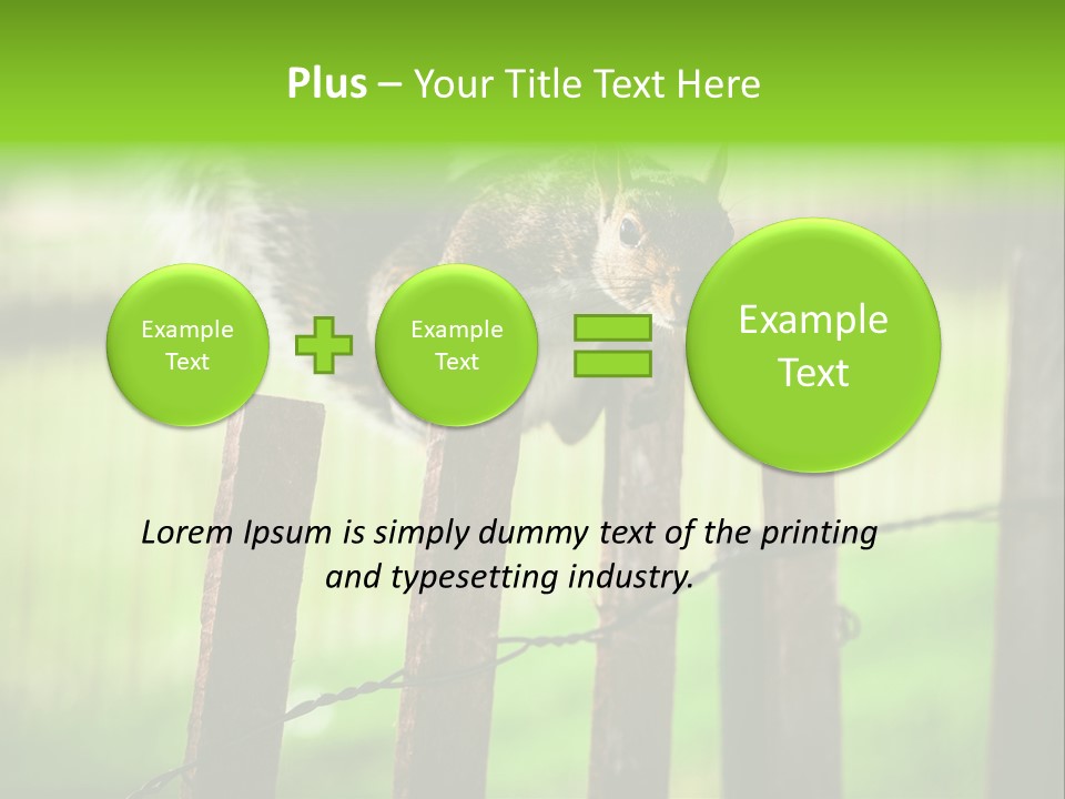 Concepts And Ideas Balance Squirrel PowerPoint Template