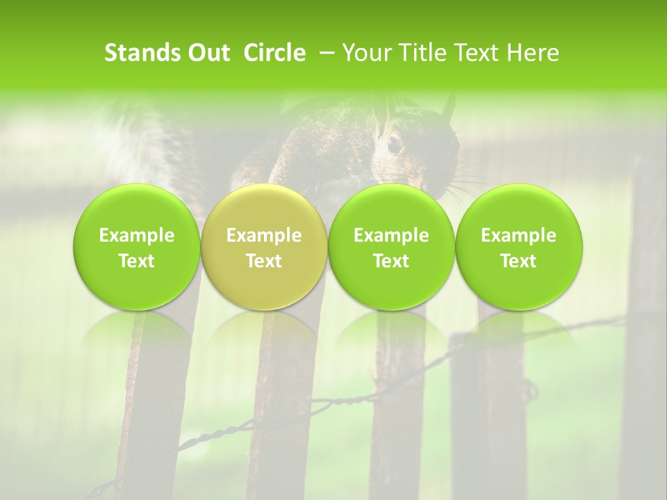 Concepts And Ideas Balance Squirrel PowerPoint Template