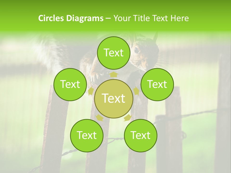 Concepts And Ideas Balance Squirrel PowerPoint Template