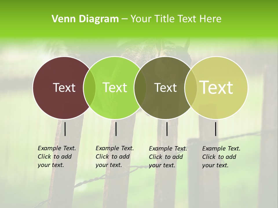 Concepts And Ideas Balance Squirrel PowerPoint Template