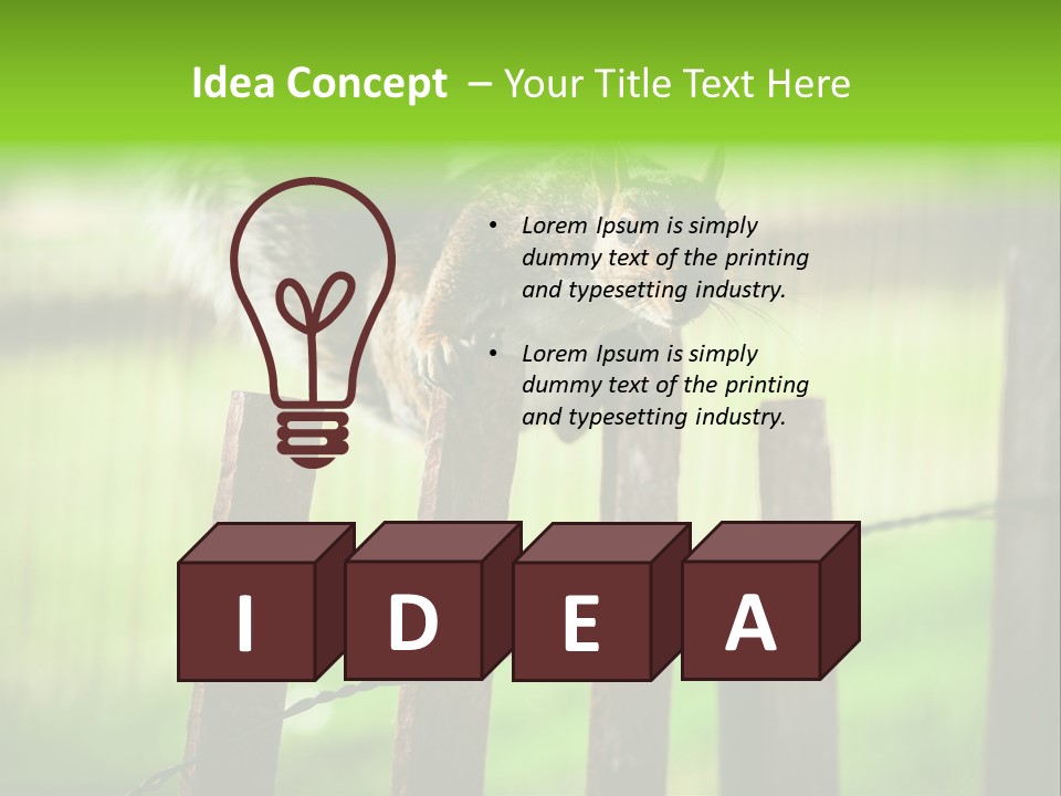 Concepts And Ideas Balance Squirrel PowerPoint Template