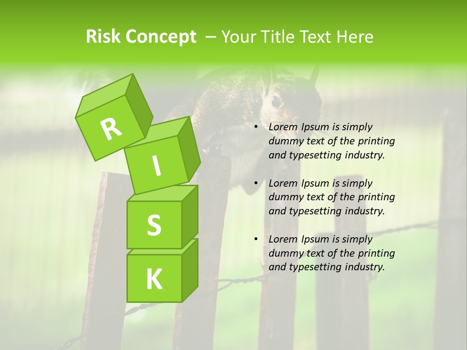 Concepts And Ideas Balance Squirrel PowerPoint Template