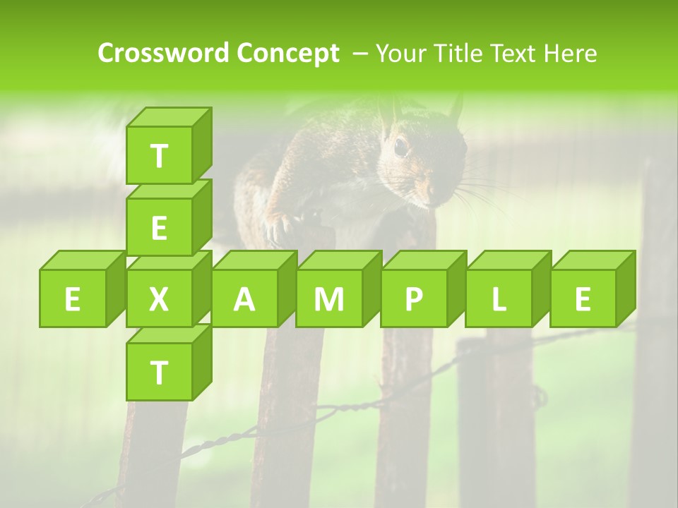 Concepts And Ideas Balance Squirrel PowerPoint Template