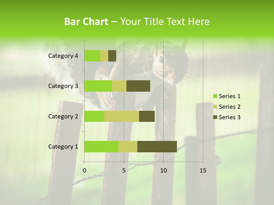 Concepts And Ideas Balance Squirrel PowerPoint Template
