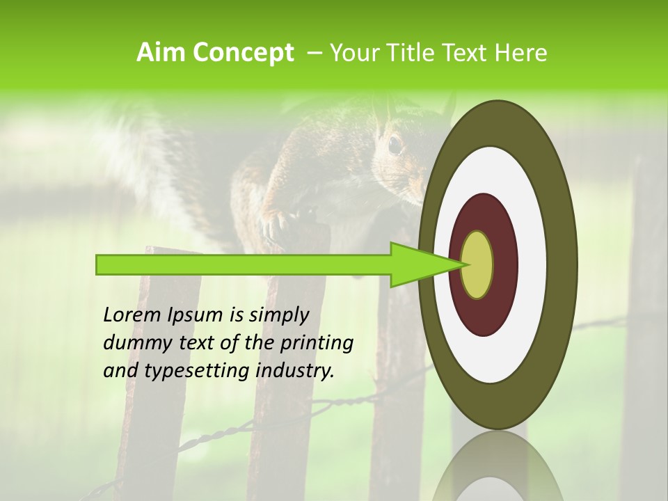 Concepts And Ideas Balance Squirrel PowerPoint Template