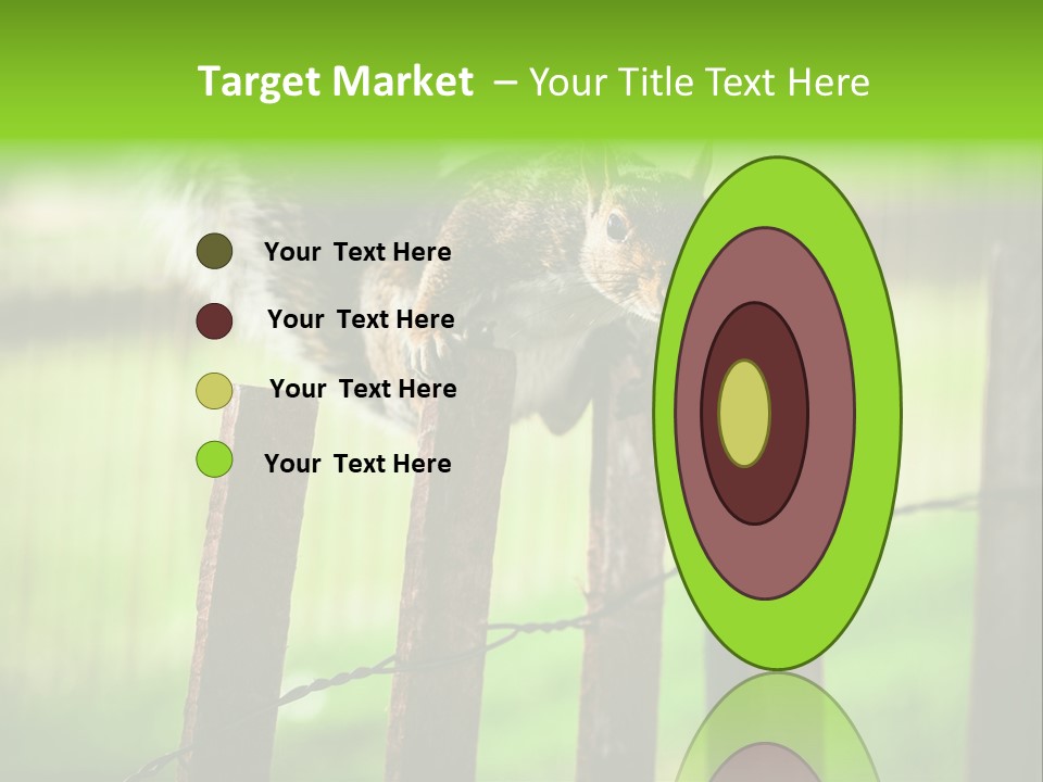 Concepts And Ideas Balance Squirrel PowerPoint Template