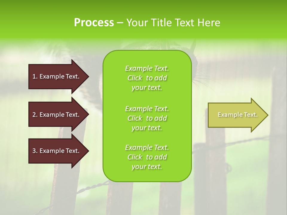 Concepts And Ideas Balance Squirrel PowerPoint Template