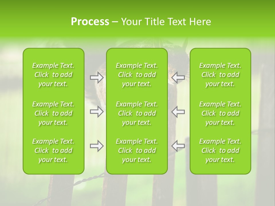 Concepts And Ideas Balance Squirrel PowerPoint Template