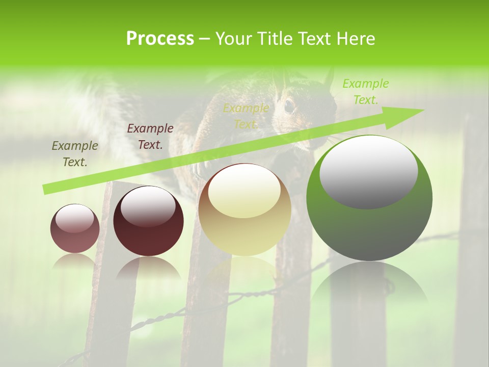 Concepts And Ideas Balance Squirrel PowerPoint Template