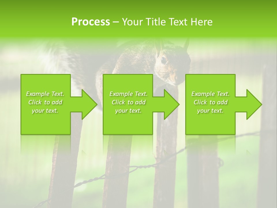 Concepts And Ideas Balance Squirrel PowerPoint Template