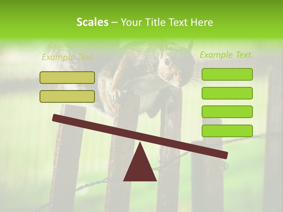 Concepts And Ideas Balance Squirrel PowerPoint Template