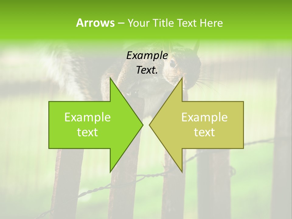 Concepts And Ideas Balance Squirrel PowerPoint Template