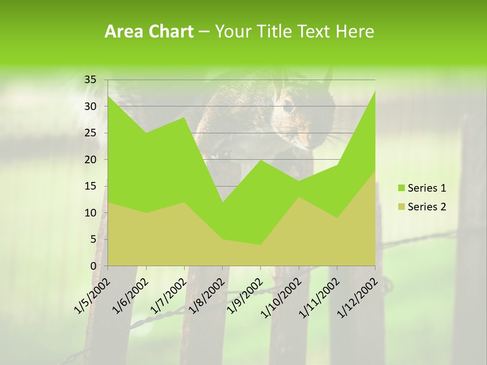 Concepts And Ideas Balance Squirrel PowerPoint Template