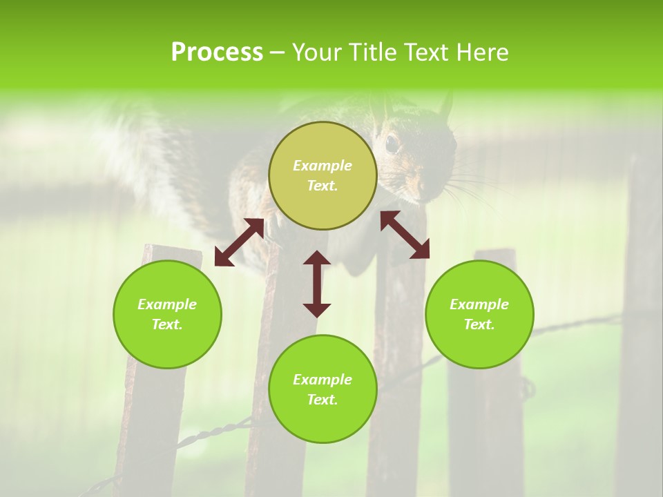 Concepts And Ideas Balance Squirrel PowerPoint Template