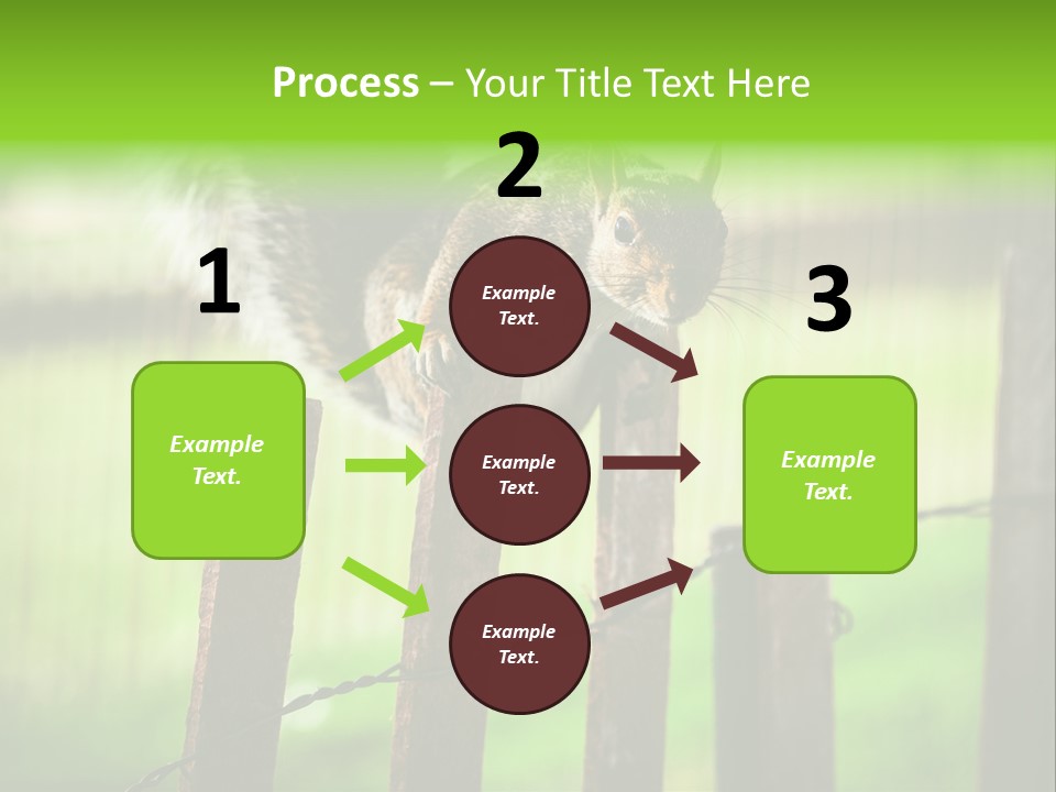Concepts And Ideas Balance Squirrel PowerPoint Template