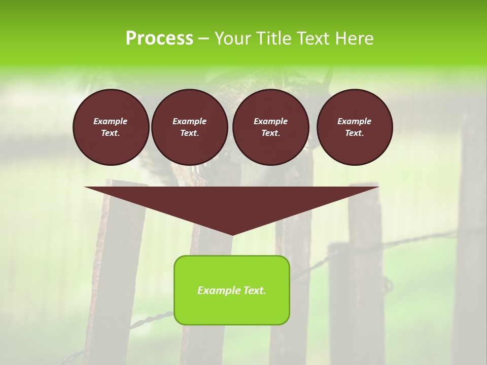 Concepts And Ideas Balance Squirrel PowerPoint Template