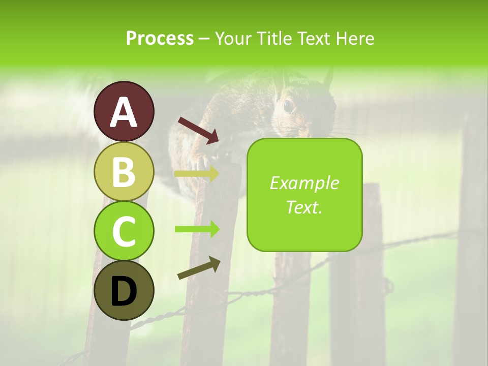 Concepts And Ideas Balance Squirrel PowerPoint Template