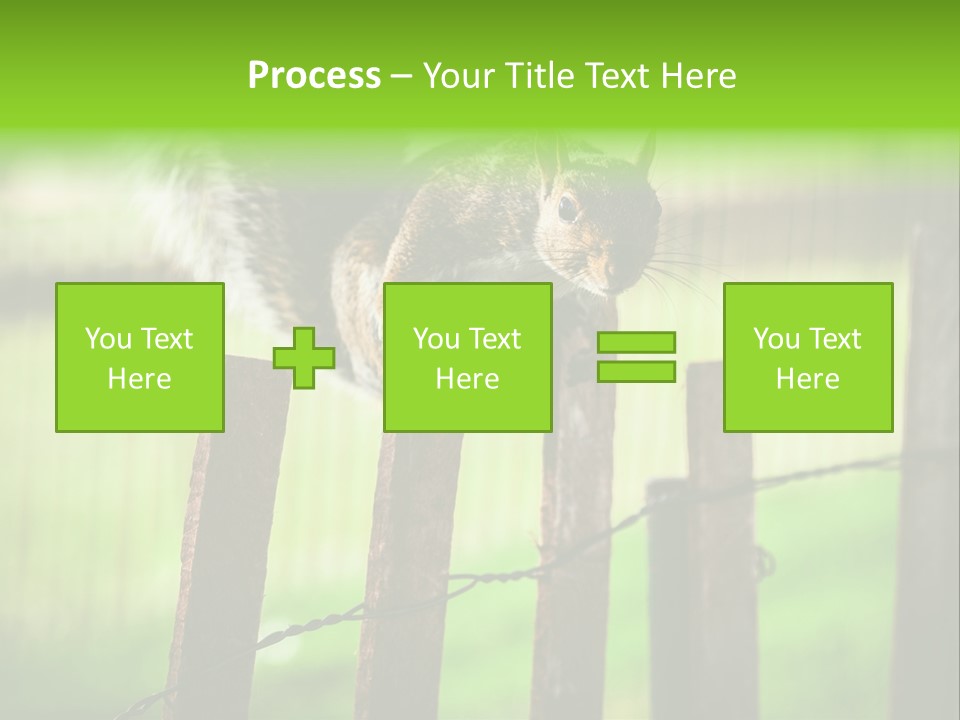Concepts And Ideas Balance Squirrel PowerPoint Template