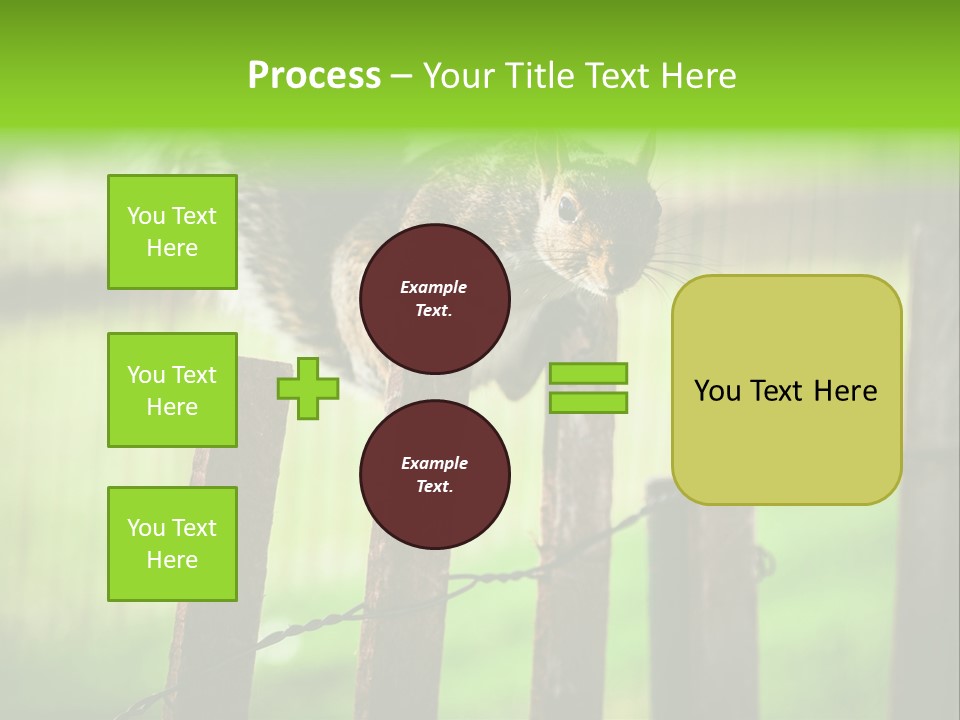 Concepts And Ideas Balance Squirrel PowerPoint Template