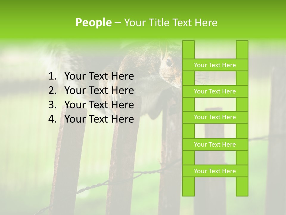 Concepts And Ideas Balance Squirrel PowerPoint Template