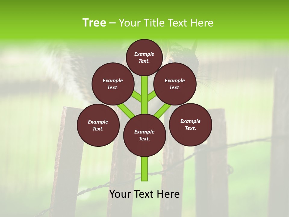 Concepts And Ideas Balance Squirrel PowerPoint Template