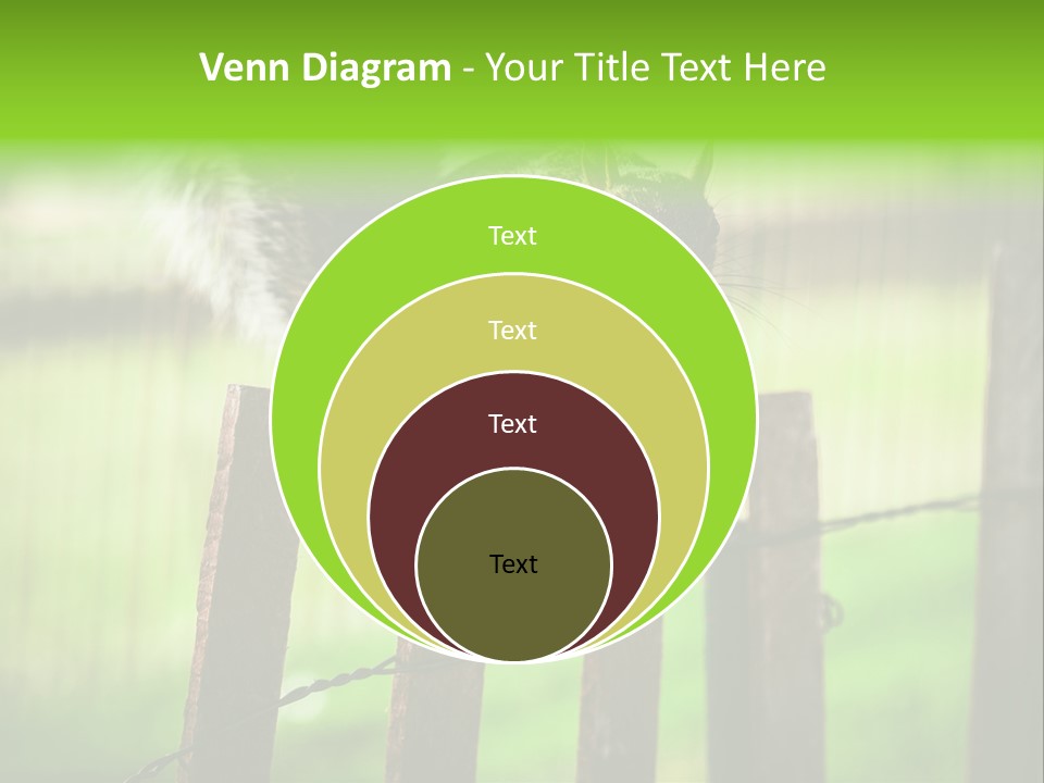 Concepts And Ideas Balance Squirrel PowerPoint Template