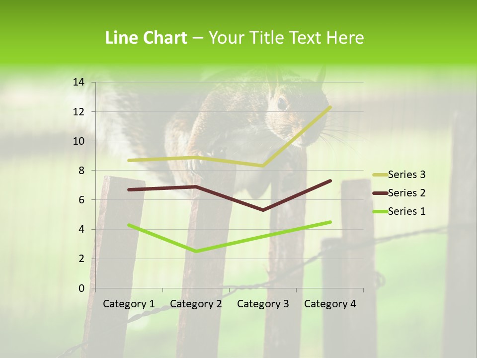 Concepts And Ideas Balance Squirrel PowerPoint Template
