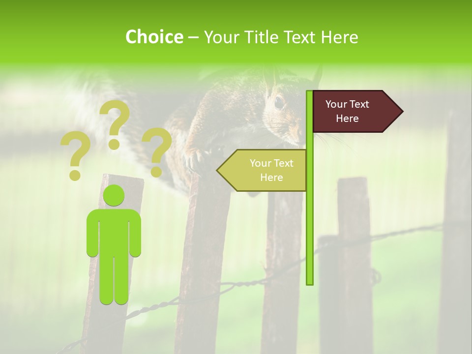 Concepts And Ideas Balance Squirrel PowerPoint Template