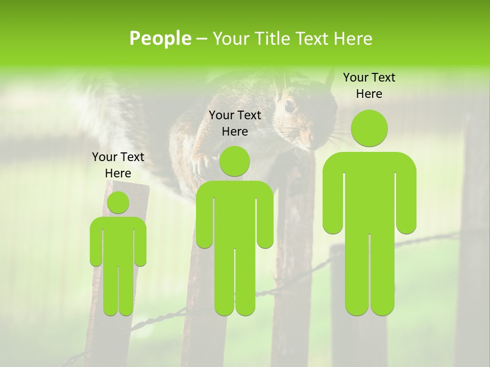 Concepts And Ideas Balance Squirrel PowerPoint Template