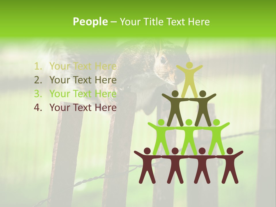 Concepts And Ideas Balance Squirrel PowerPoint Template