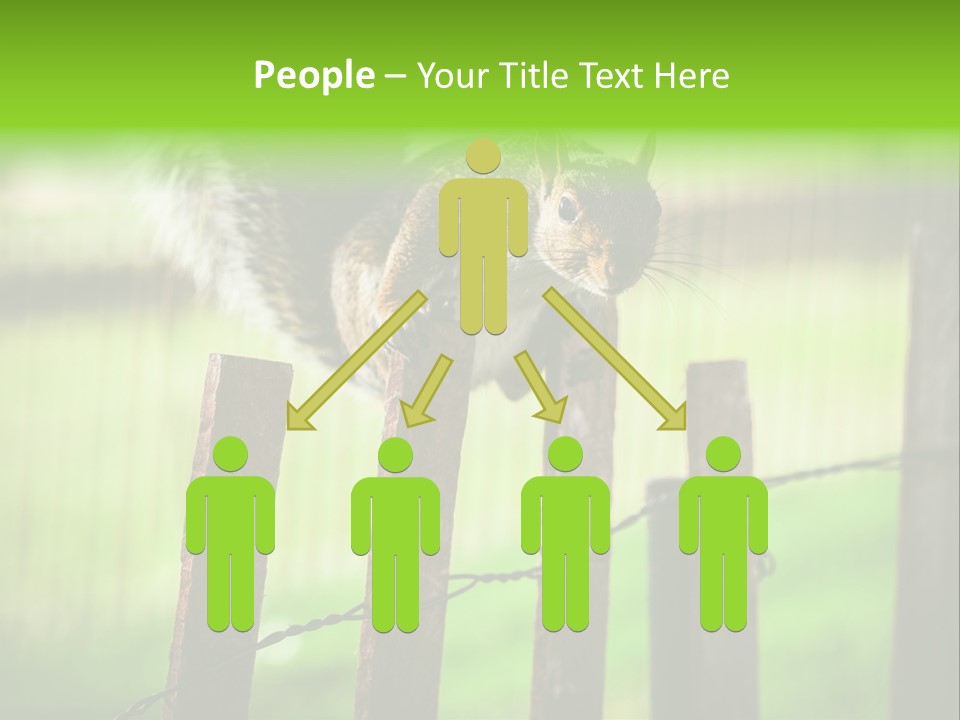 Concepts And Ideas Balance Squirrel PowerPoint Template