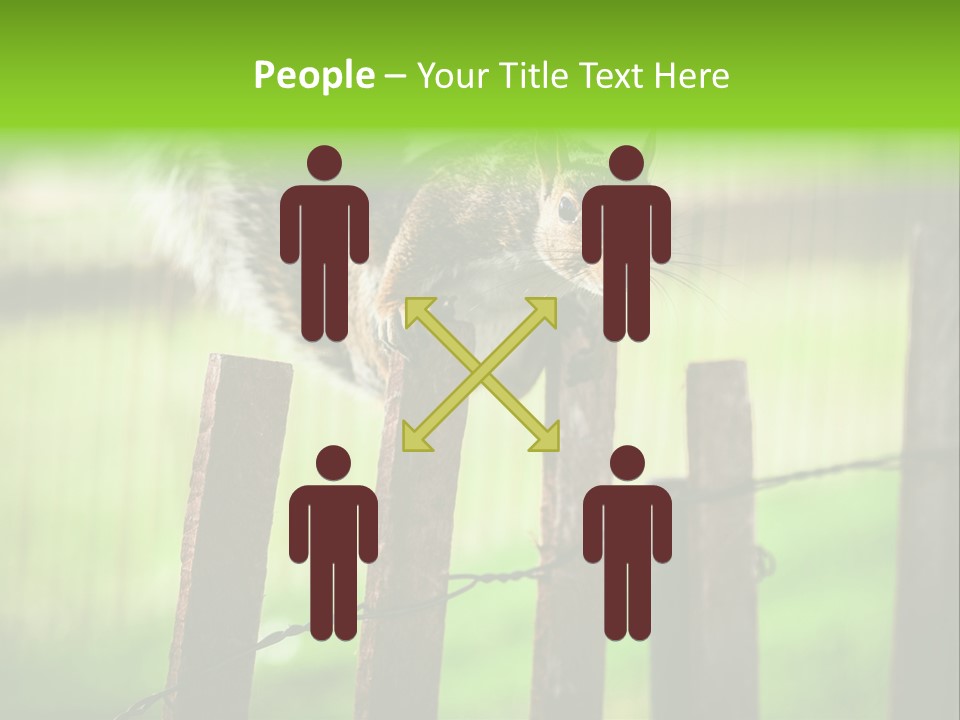 Concepts And Ideas Balance Squirrel PowerPoint Template