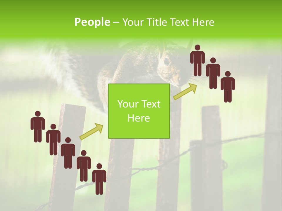 Concepts And Ideas Balance Squirrel PowerPoint Template