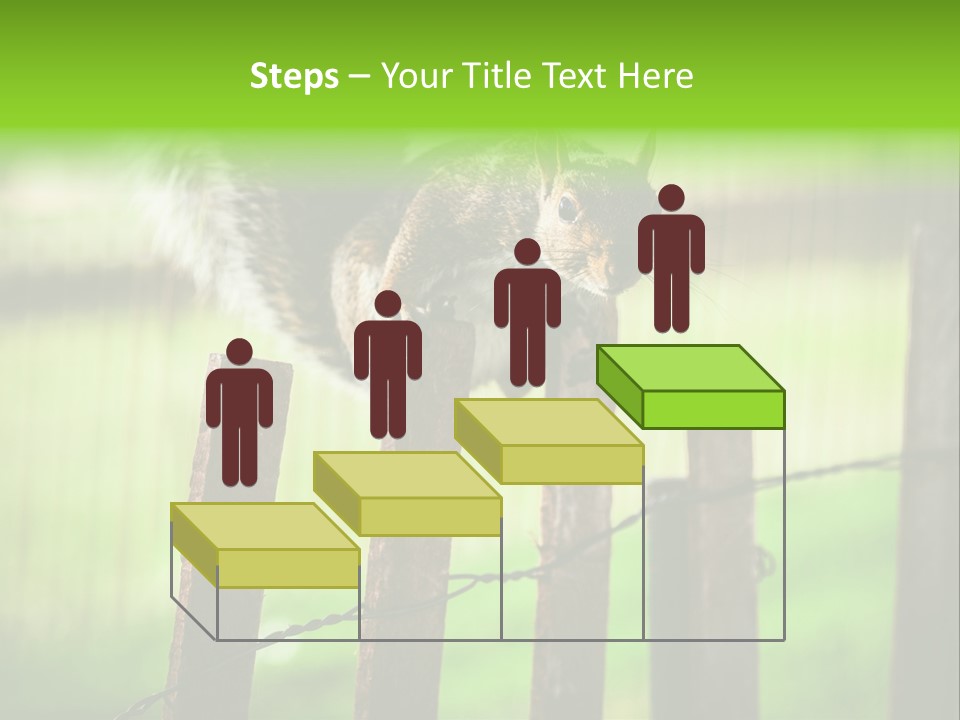 Concepts And Ideas Balance Squirrel PowerPoint Template