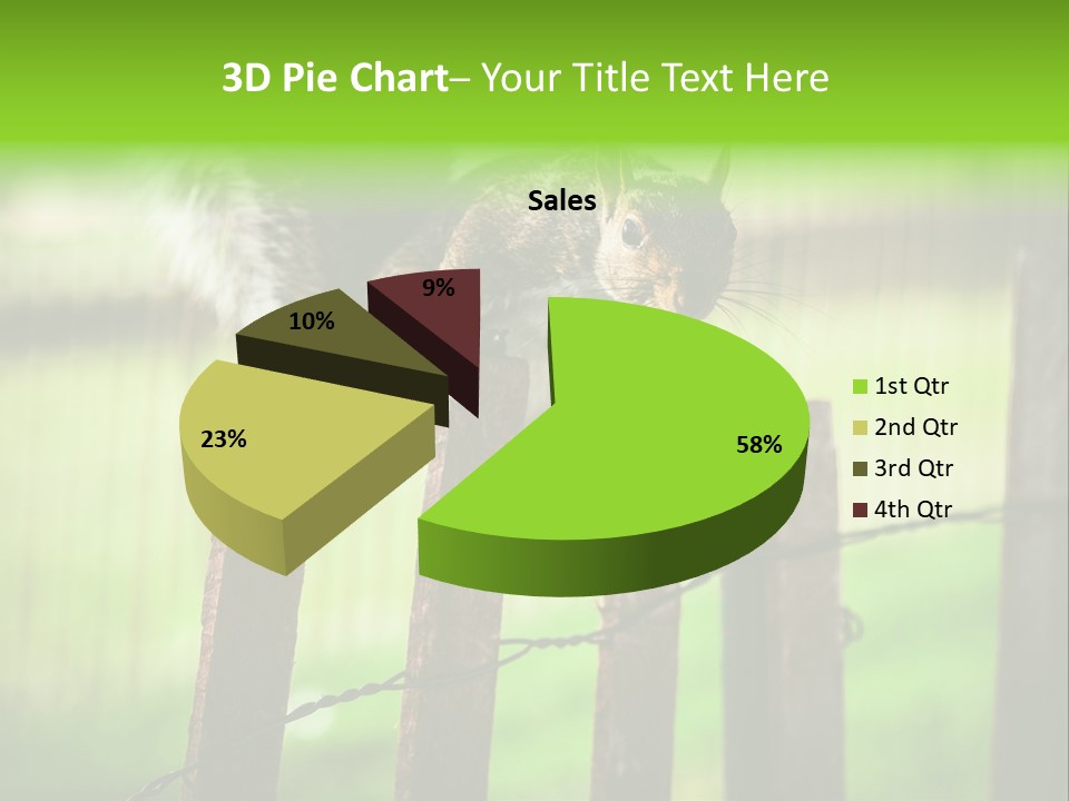 Concepts And Ideas Balance Squirrel PowerPoint Template