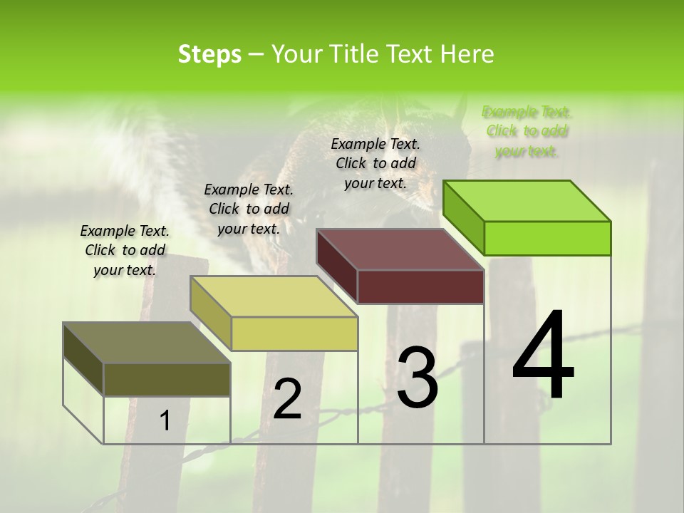 Concepts And Ideas Balance Squirrel PowerPoint Template