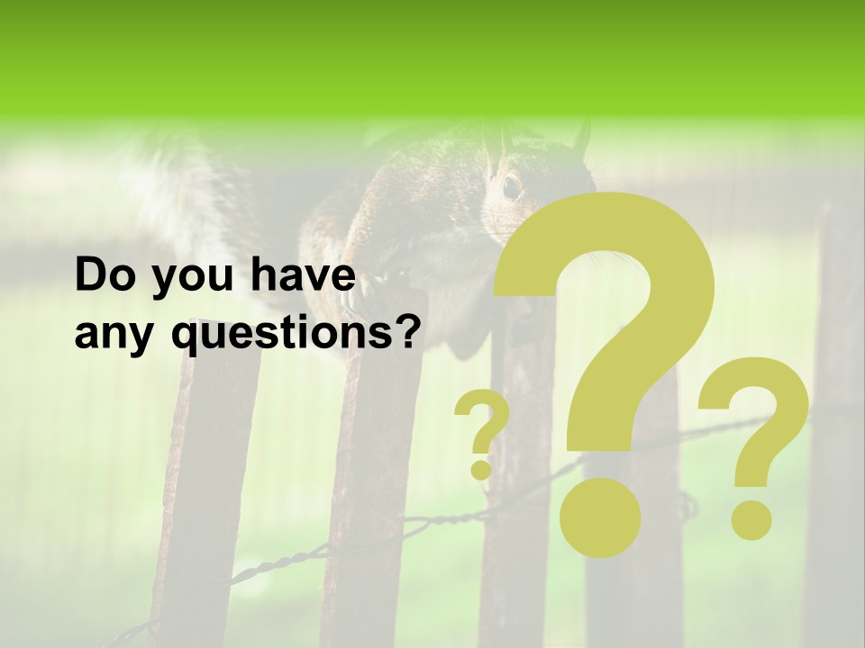 Concepts And Ideas Balance Squirrel PowerPoint Template