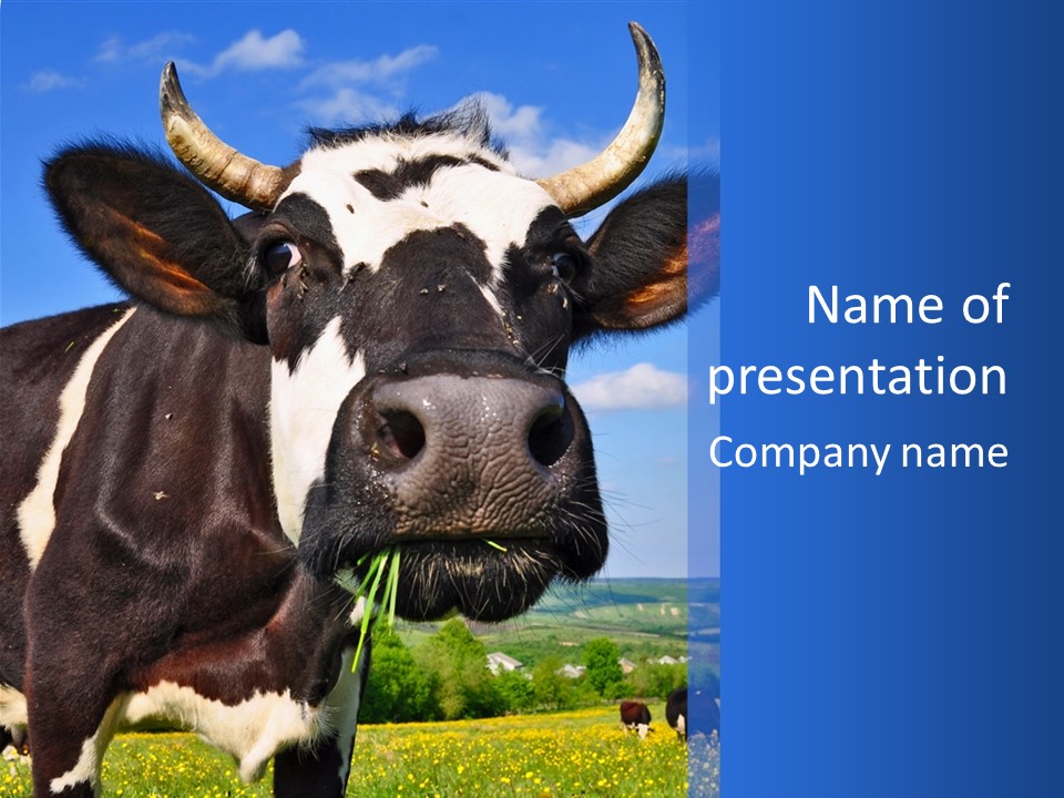 Grass Milk Breeding PowerPoint Template
