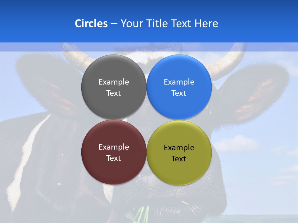 Grass Milk Breeding PowerPoint Template