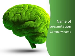 Wisdom White Growing PowerPoint Template