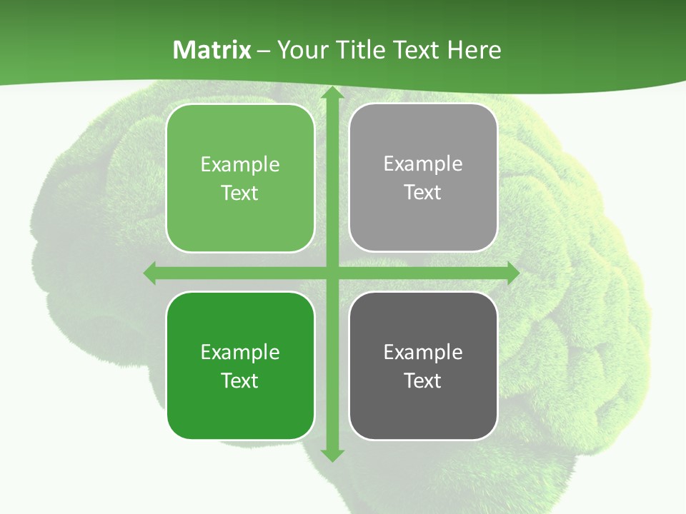 Wisdom White Growing PowerPoint Template