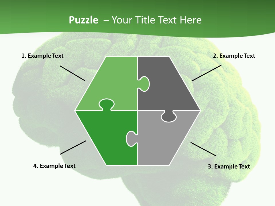 Wisdom White Growing PowerPoint Template