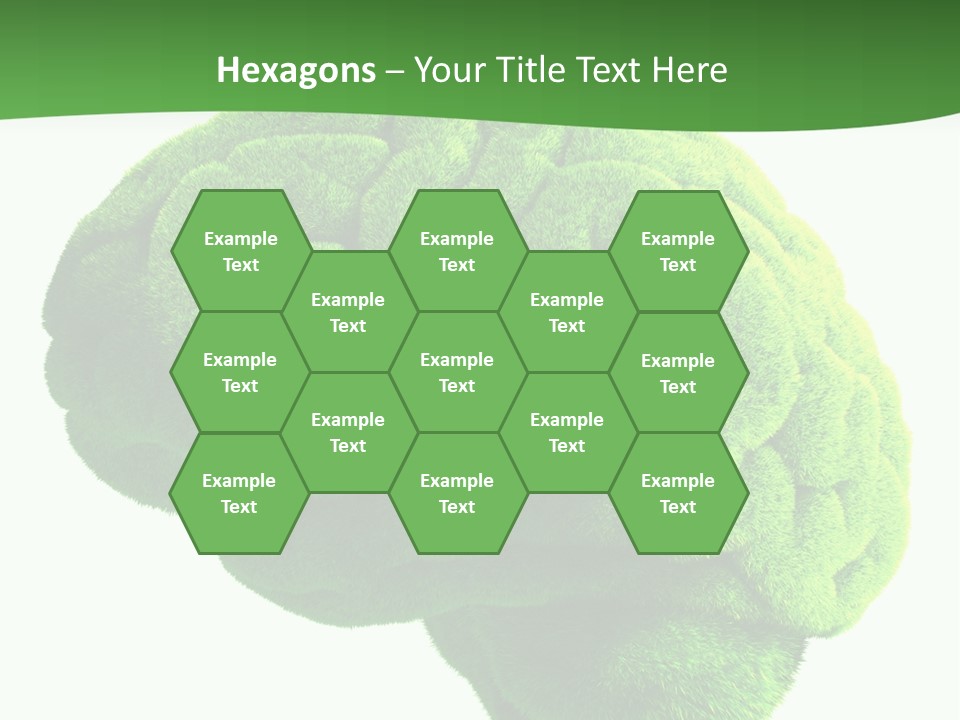 Wisdom White Growing PowerPoint Template