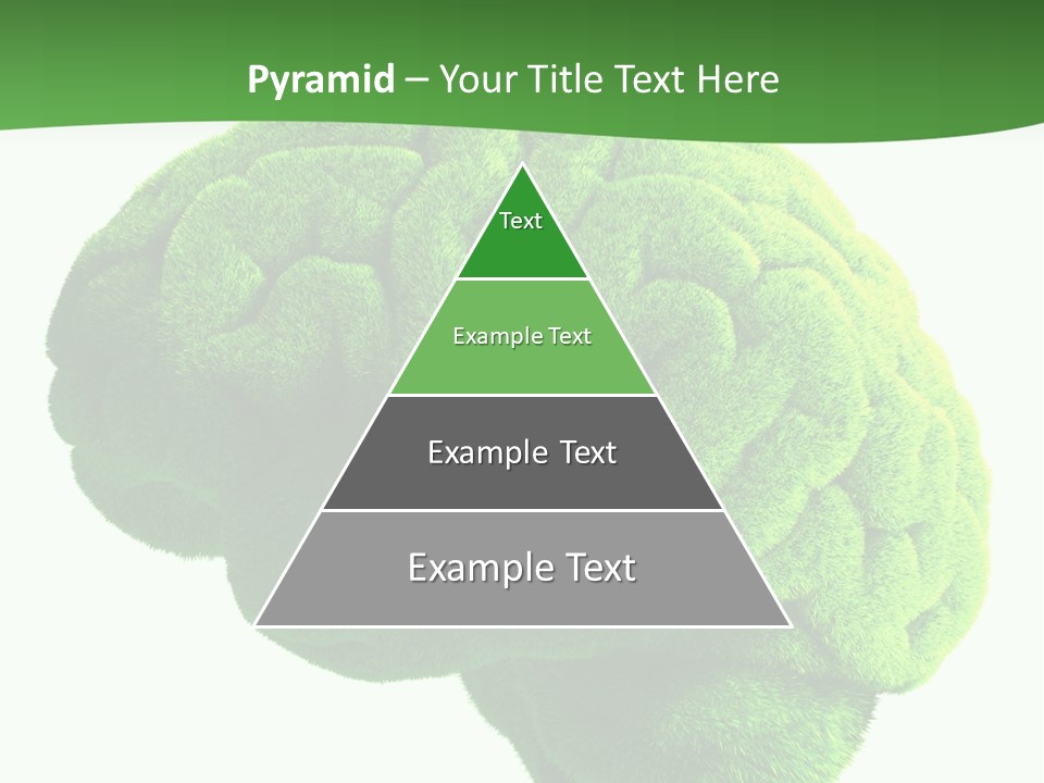 Wisdom White Growing PowerPoint Template